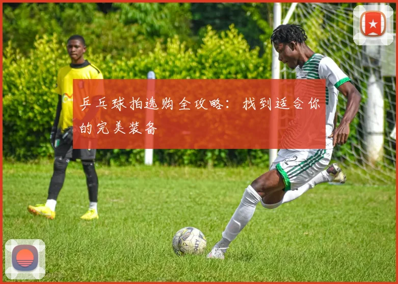 乒乓球拍选购全攻略：找到适合你的完美装备